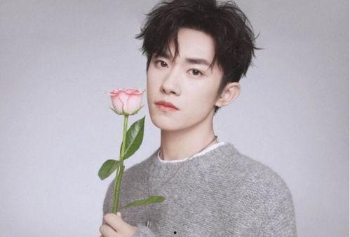 我真不是明星主角王聪