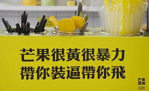 娱乐精神好吗,揭秘娱乐圈的欢乐盛宴