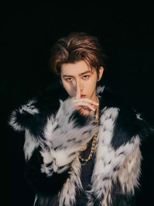 国内明星榜,盘点当红炸子鸡