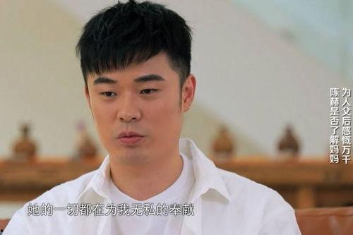 陈赫妈妈个人资料,揭秘明星家庭背后的温馨故事