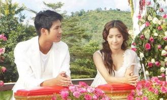 旋转的爱演员表,揭秘演员阵容,演绎情感纠葛